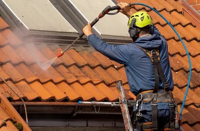 Démoussage et hydrofuge de toiture à Aslonnes